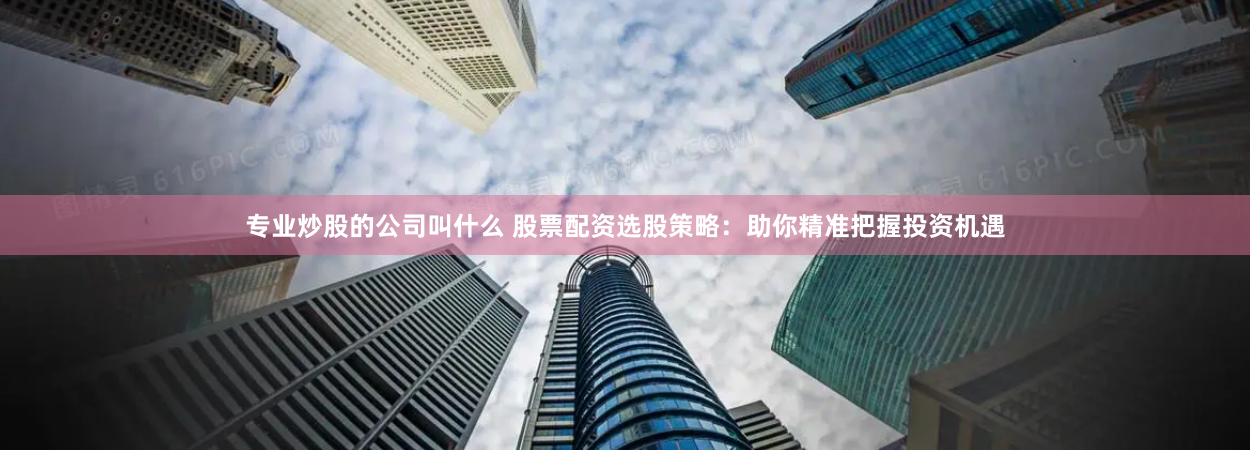 专业炒股的公司叫什么 股票配资选股策略：助你精准把握投资机遇